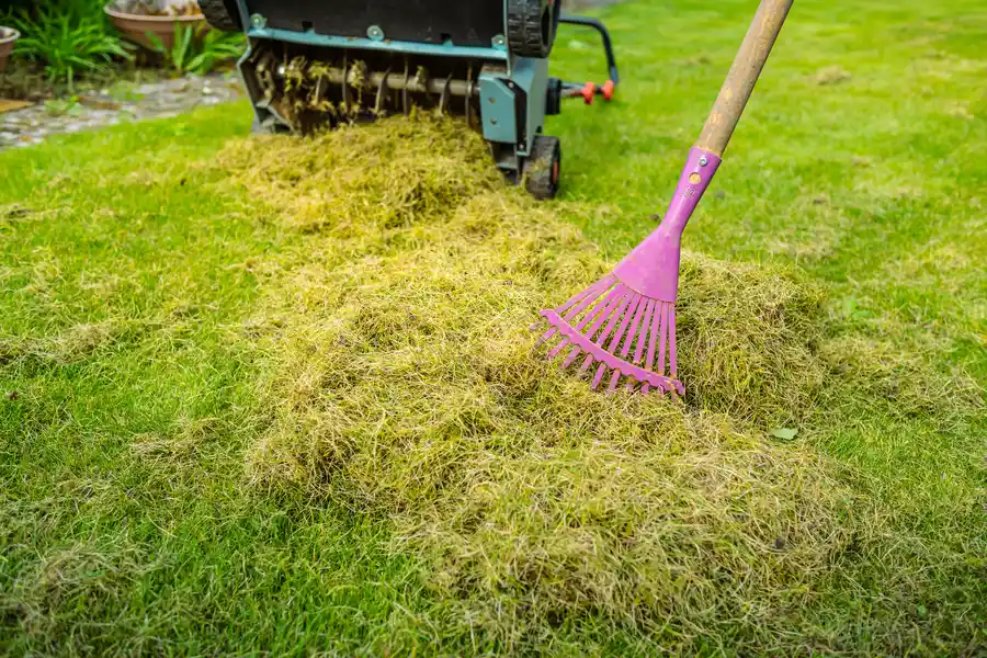 Expert Yard Maintenance Medford, OR Expert Yard Maintenance Medford, OR