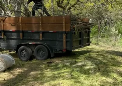 Local Tree Service (1)