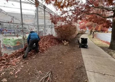 Local Tree Service (14)