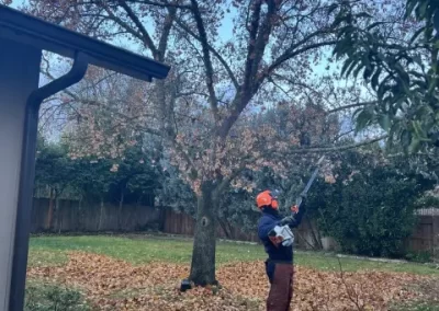 Local Tree Service (15)