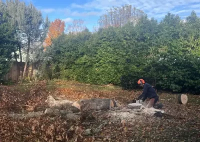 Local Tree Service (16)