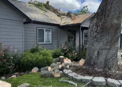 Local Tree Service (17)