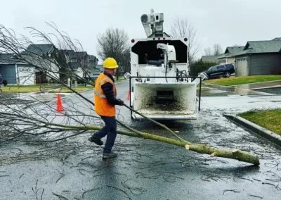 Local Tree Service (2)