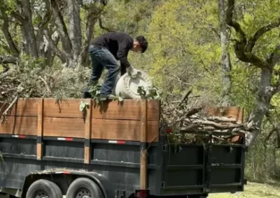 Local Tree Service (3)