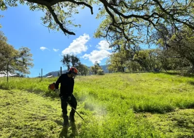 Local Tree Service (4)