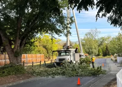Local Tree Service (5)