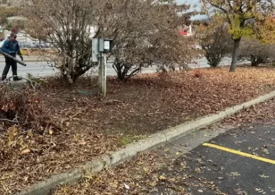 Local Tree Service (7)