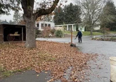 Local Tree Service (9)