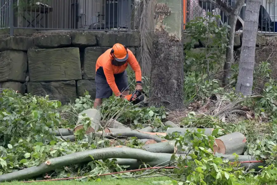 Reliable Tree Removal Services Medford, OR Reliable Tree Removal Services Medford, OR