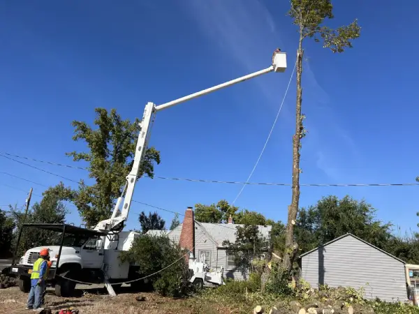 SO Yard & Tree Care LLC's Other Services SO Yard & Tree Care LLC's Other Services