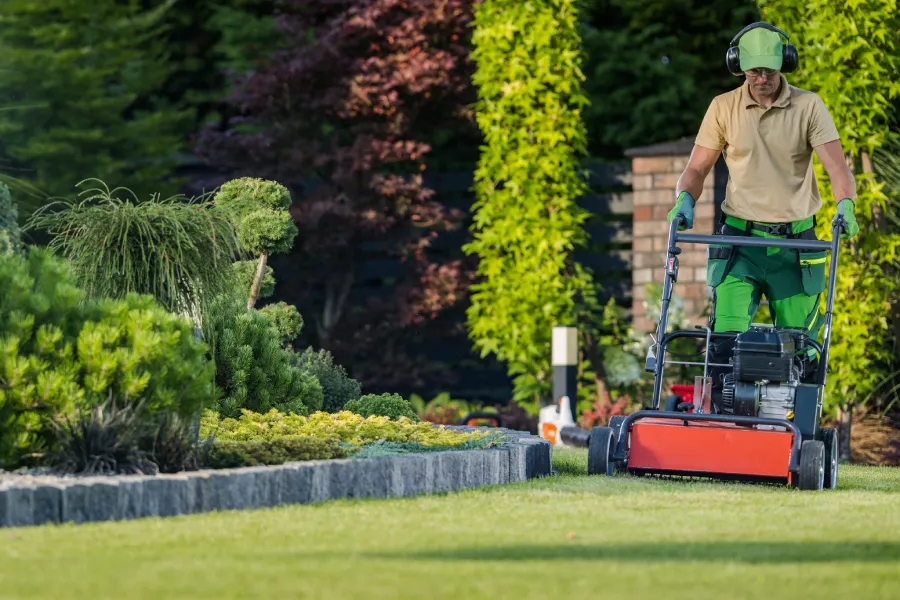 The Role Of Yard Maintenance In Preventing Pest Infestations Medford, OR The Role Of Yard Maintenance In Preventing Pest Infestations Medford, OR