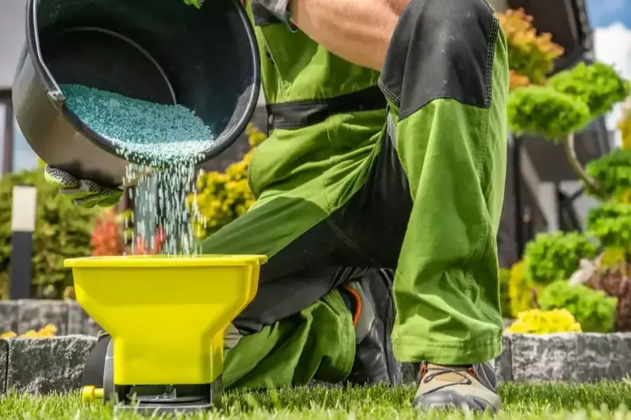 Top Reasons To Schedule Seasonal Lawn Maintenance Medford, OR Top Reasons To Schedule Seasonal Lawn Maintenance Medford, OR