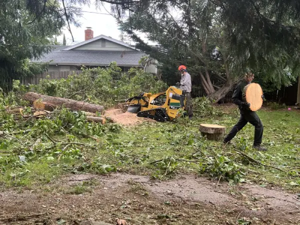 Tree Removal Services Tree Removal Services